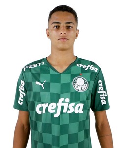 Giovani :: Giovani Henrique Amorim da Silva :: Palmeiras